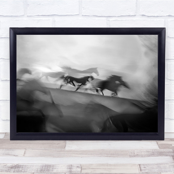 Horses Lipicians Gallop Impressive Wall Art Print