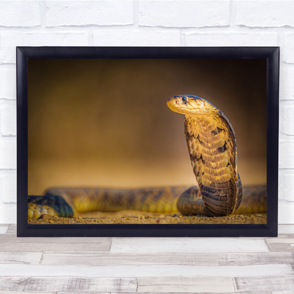 Snake Cobra Bokeh Animals Wildlife Wall Art Print