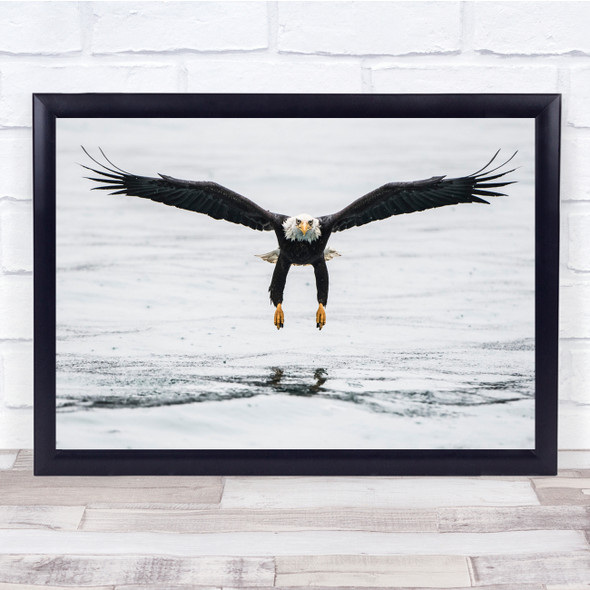 Symmetry Flying Eagle Flight Water Wall Art Print