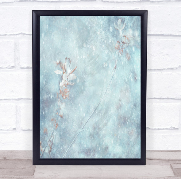 Winter Winds white and pink flower Wall Art Print