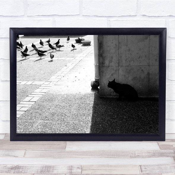 Cat Pet Animal Doves Street Birds Wall Art Print