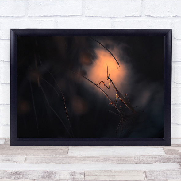 Final Fantasy Stick Insect Nature Wall Art Print