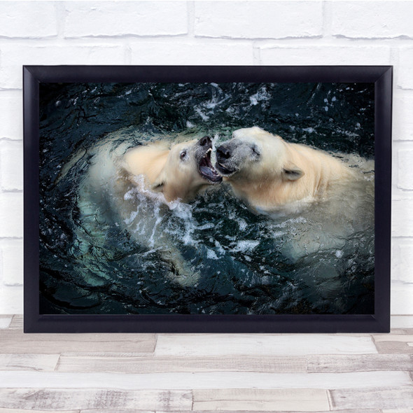 Polar Bear Animals Water Fighting Wall Art Print