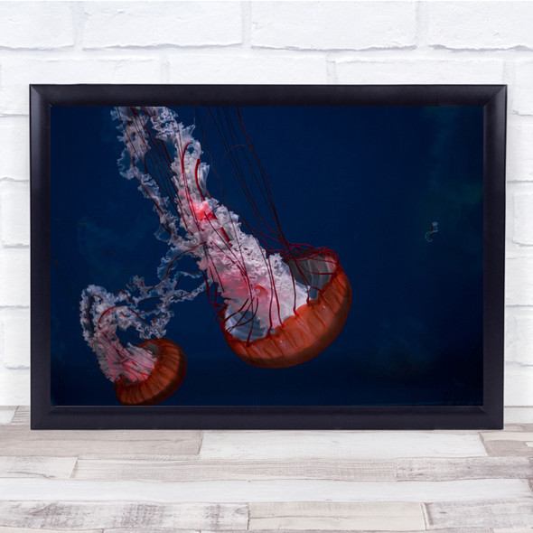 Red Jelly fish underwater Sealife Wall Art Print