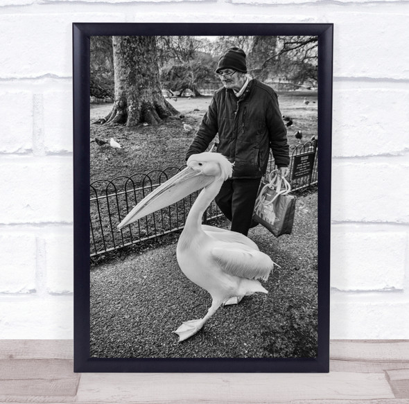 A Man And His Pet pelican animal Wall Art Print