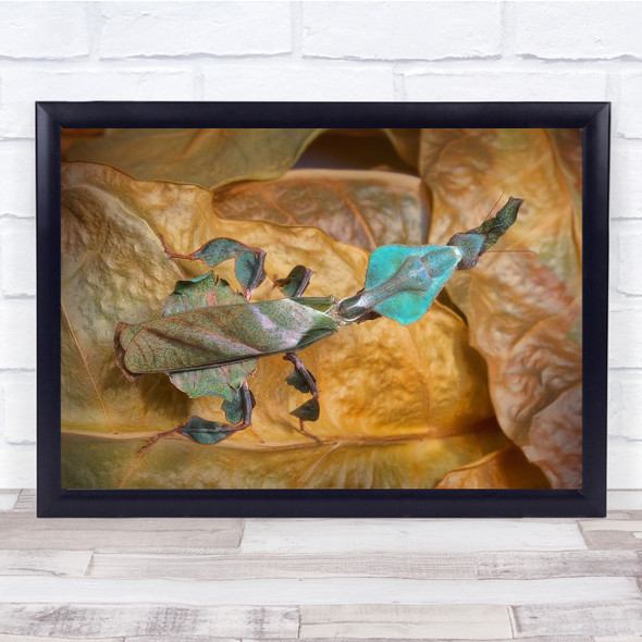 Camouflage Leaves Orange Colours Wall Art Print