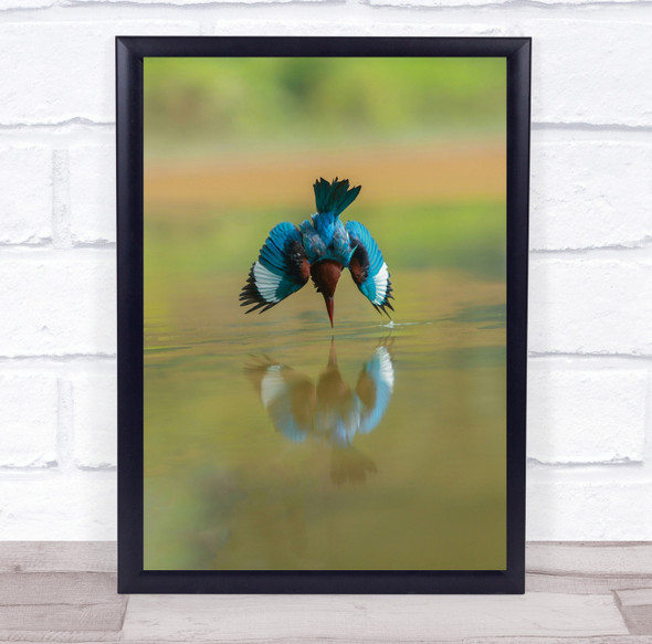 Mirror blue bird reflection lake Wall Art Print