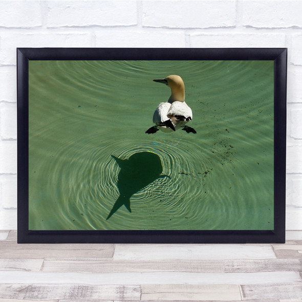 Water Shadow Duck Beak Bird Pond Wall Art Print