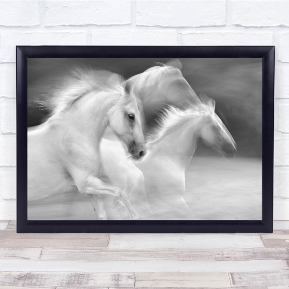 Elegance In White Horses Gallop Wall Art Print