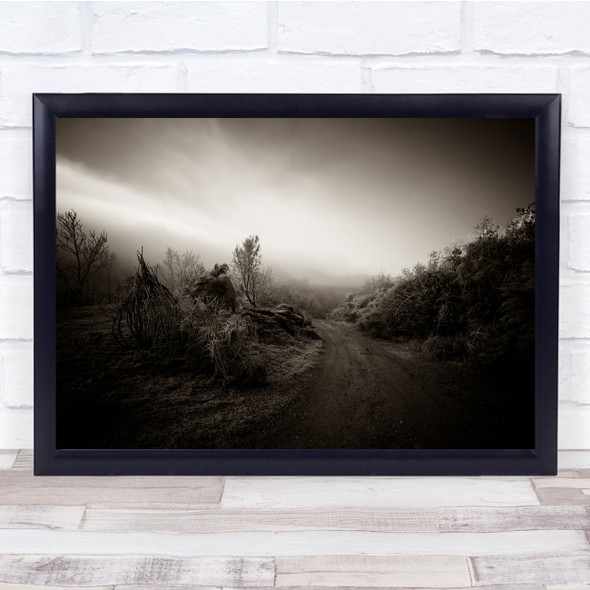 Frozen eerie pathway dead trees Wall Art Print