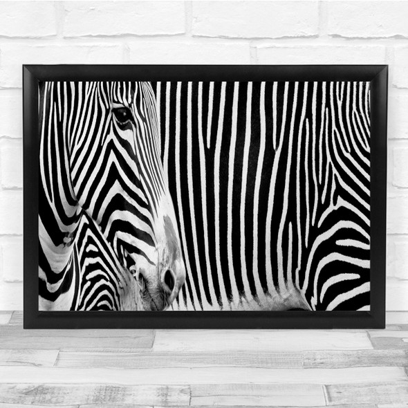 Panoramic Zebras Animal Stripes Wall Art Print