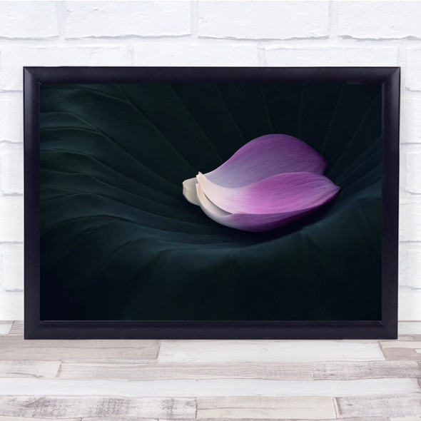 Petals Flowers Botanical Simple Wall Art Print