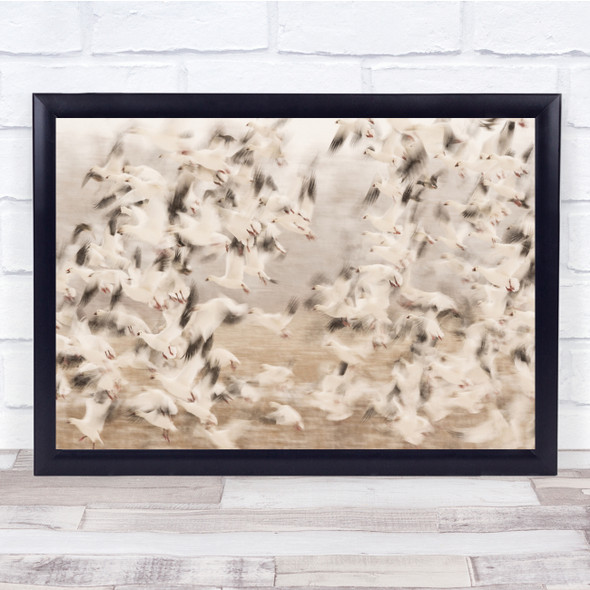 birds flock flying motion blur Wall Art Print