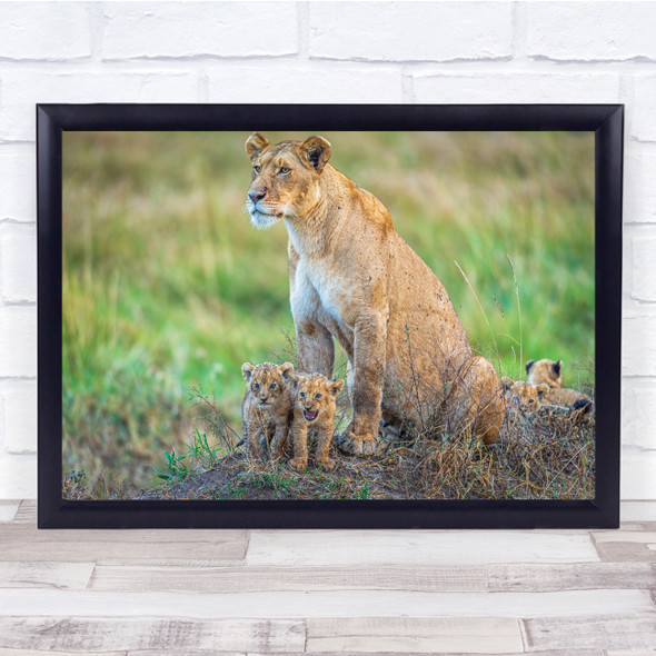 Lioness Family Wildlife Nature Wall Art Print