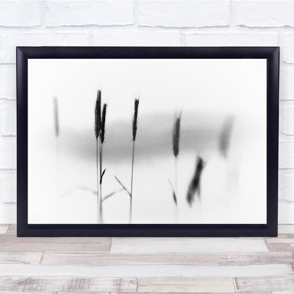 reeds close up black and white Wall Art Print