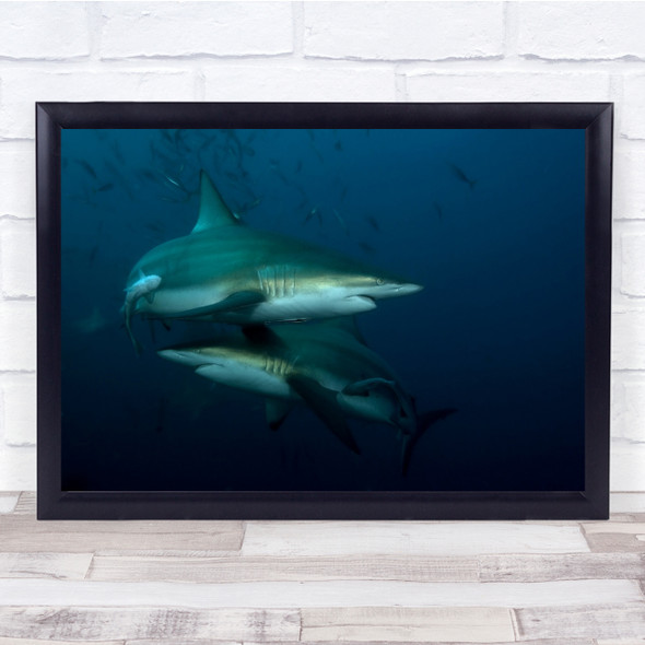 Underwater Sharks Colour Twist Wall Art Print