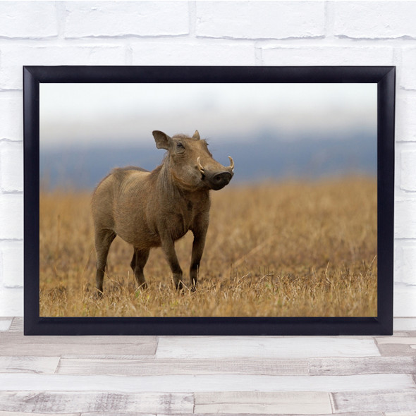 Pumba Wild Waterhog Landscape Wall Art Print