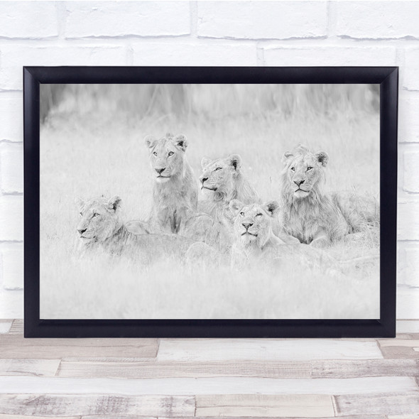 Lions Animal Infrared nature Wall Art Print