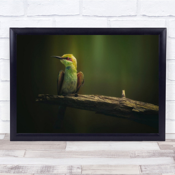 Little Bee-Eater Bird Branch Wall Art Print