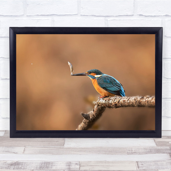 Swinging Fish Branch animals Wall Art Print