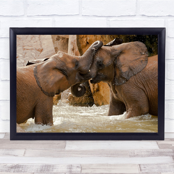 Play Water Elephants Young Wall Art Print