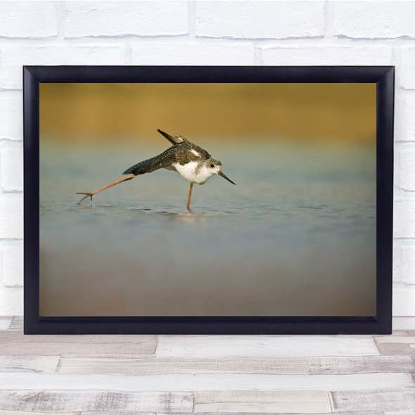 Israel Ice Skating bird Wall Art Print