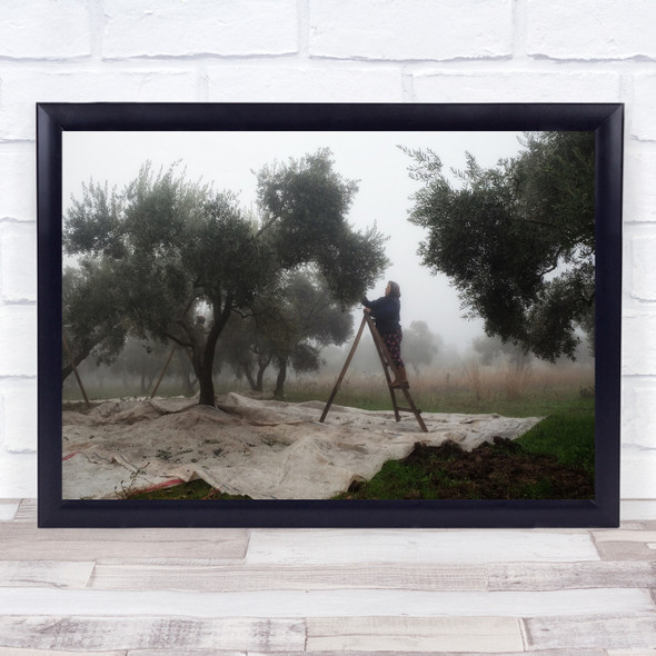 Olive woman Worker tree Wall Art Print