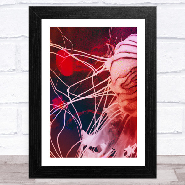 Reds And Blues Jellyfish Abstract Wall Art Print