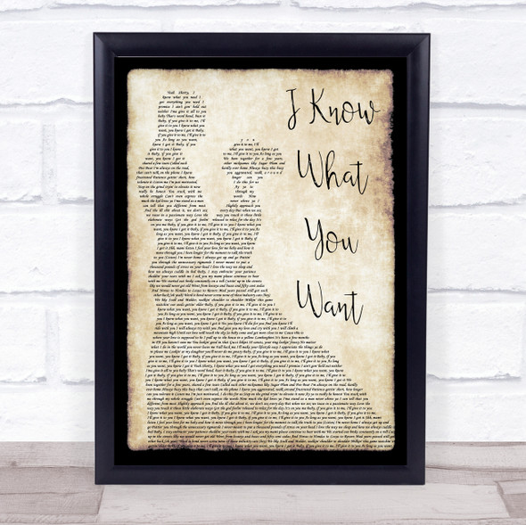 Busta Rhymes I Know What You Want Man Lady Dancing Song Lyric Print