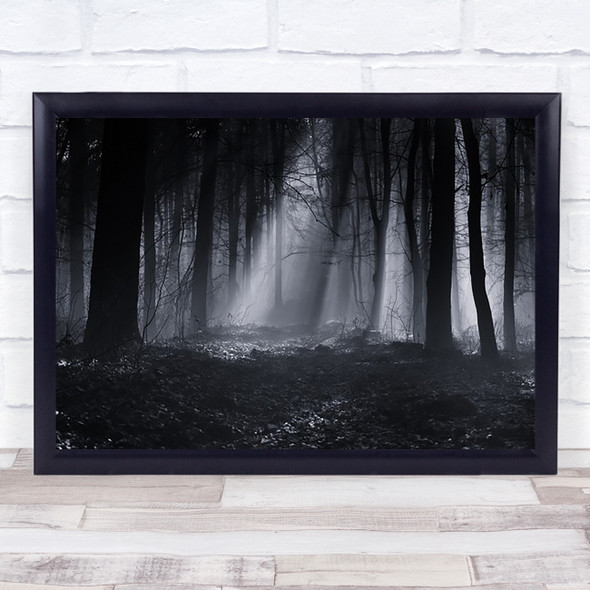 Capela Forest Morning Light Rays Ray Sunbeams Wall Art Print