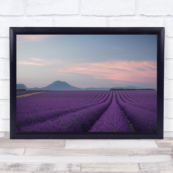 Lavender Field Fields Rows Purple France Provence Farm Wall Art Print