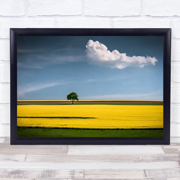 The Tree Cloud Rapeseed Kraichgau Germany Colourful Canola Wall Art Print