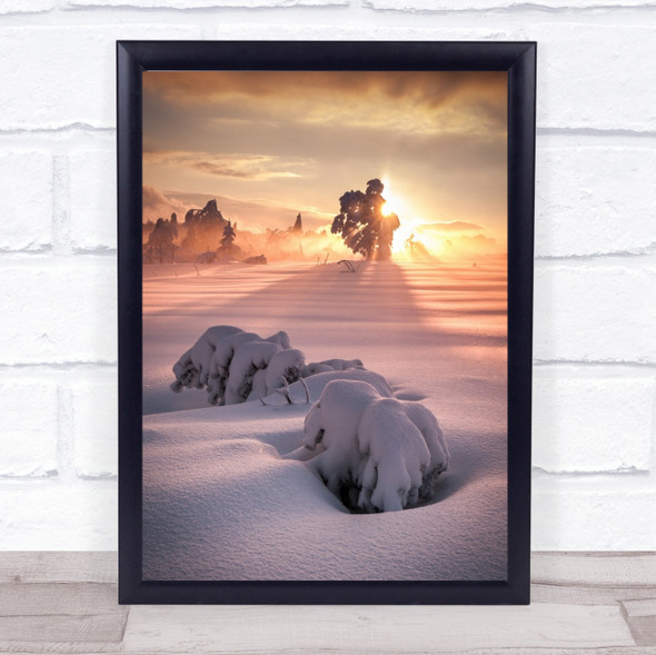 Winter Snow Tree Sun Sunset Schwarzwald Germany Forest Wall Art Print