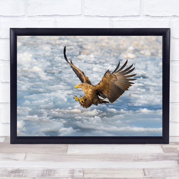 Coming Nature Bird Animal Eagle Ice Hokkaido Winter Snow Action Wall Art Print