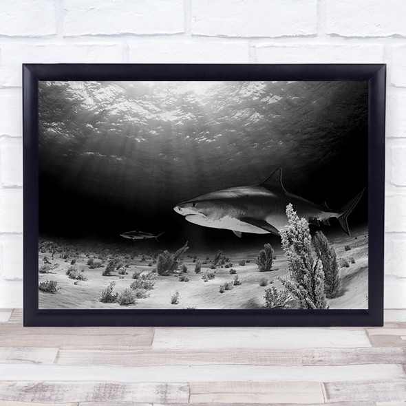 Dark Tiger Underwater Shark Bottom Light Rays Sunbeams Wall Art Print