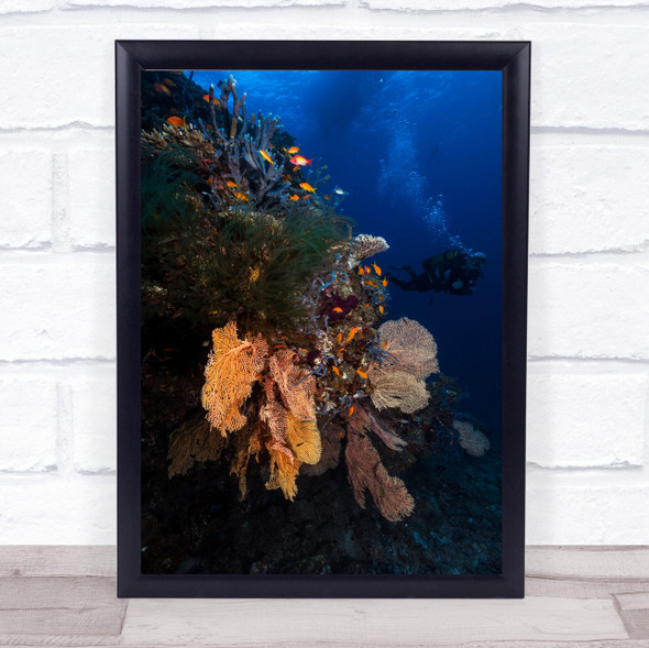 Diving Ocean Sea Underwater Coral Reef Diver Scuba Dive Wall Art Print