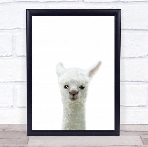 Llama Animals Animal Illustration Wildlife Wild Nature Wall Art Print