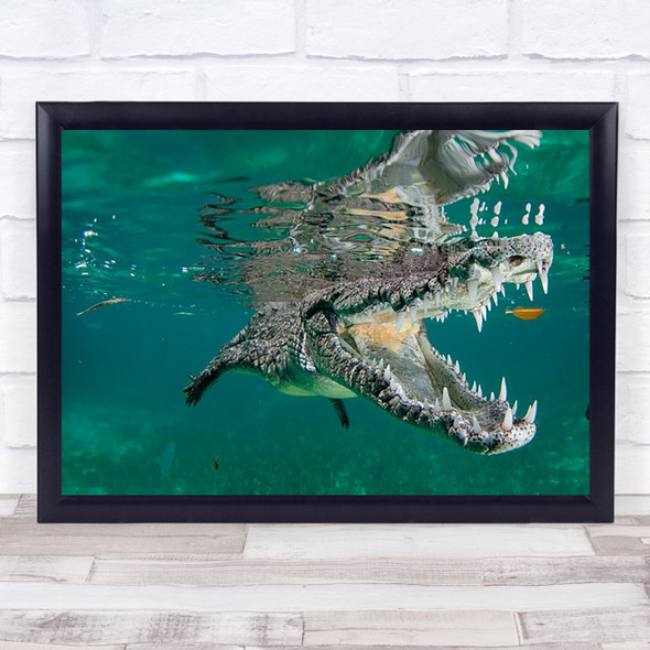 nino the croc Crocodile Underwater Intimidation Teeth Scary F Wall Art Print
