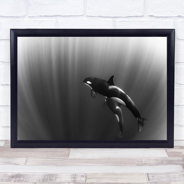 orca's dream Killer whales Orca Underwater Killer Whale Whales Deep Art Print