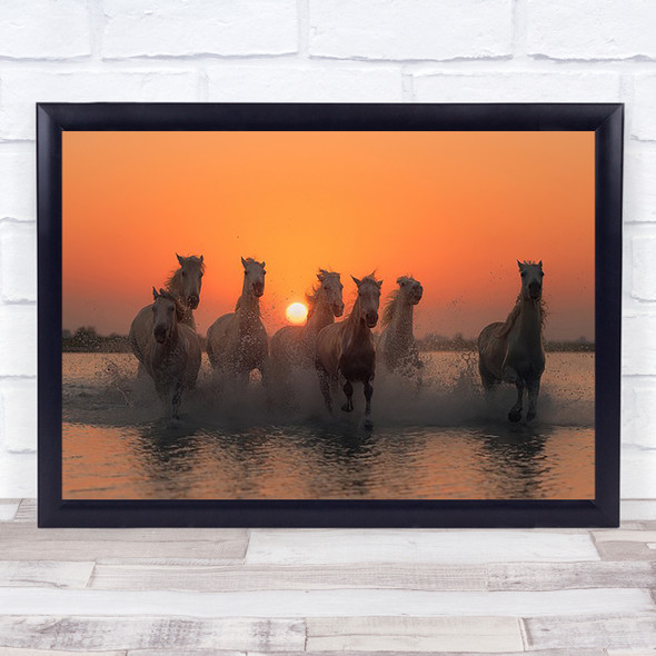 Sunset in Camargue Horse Horses Run Running Gallop Galloping Water Art Print