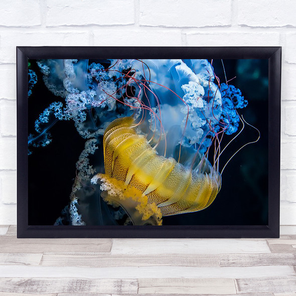 Underwater Dancer Jellyfish Animal Water Medusa Tentacles Wall Art Print