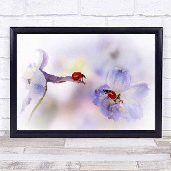 Watercolour purple flowers ladybirds meeting Wall Art Print