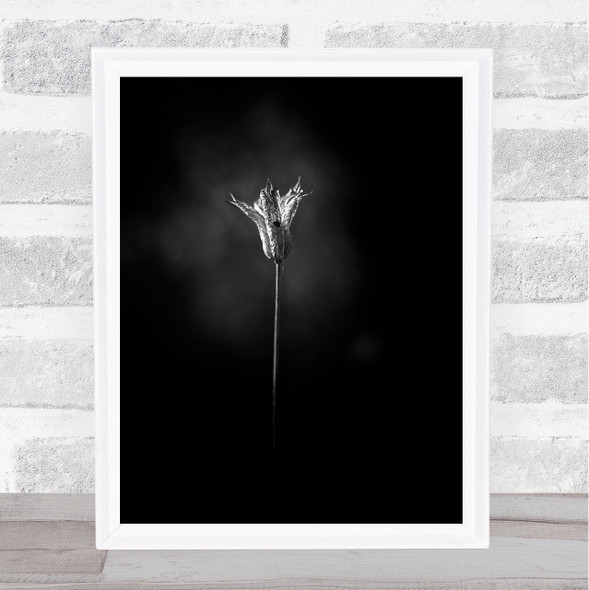 Bell Mono Plant Somerset England Dark Flower Wall Art Print