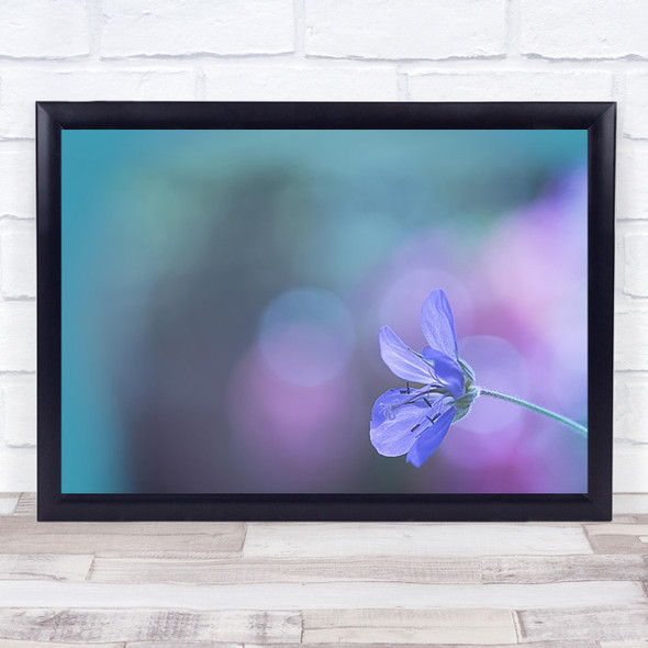 Flower Flowers Bokeh Pastel Colour Colours Wall Art Print