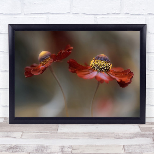 Helenium Dance Summer Flower Orange Yellow Nature Beauty Wall Art Print