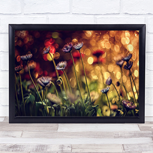 Summer Flowers Flower Bokeh Colours Colours Colour Wall Art Print