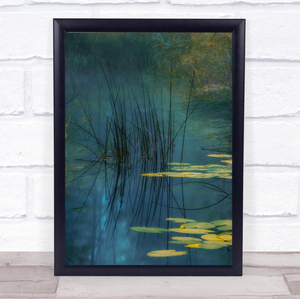 Aqua Water Lily Pond Plant Reed Lake Park Wall Art Print