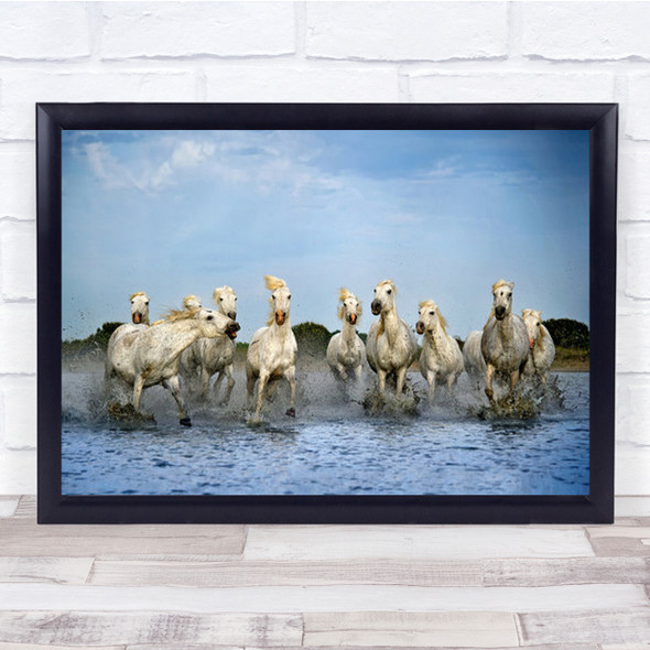 Out Of My Way Horses Camargue Delta Running France Horse Animal Wall Art Print