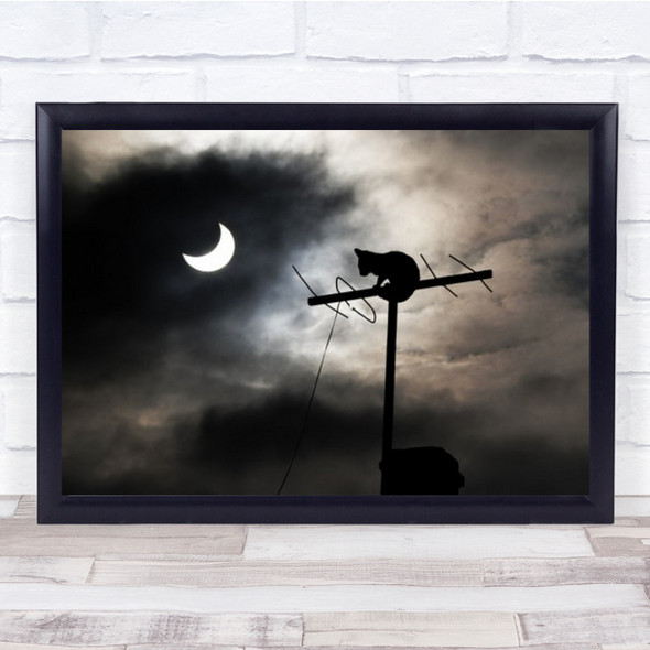 There Is Nothing New Under The Sun Cat Moon Antenna Roof Animal Wall Art Print