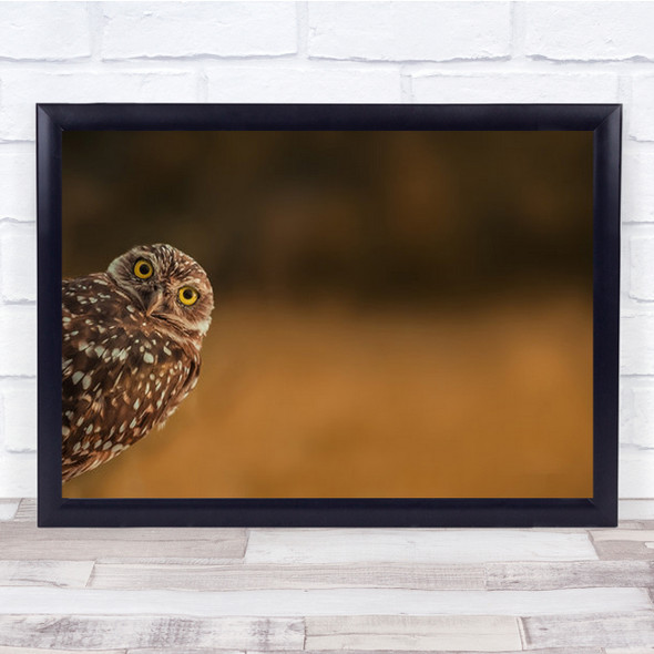 Hi There Owl Cute Peaking Animal Bird Florida Fun Funny Humour Wall Art Print